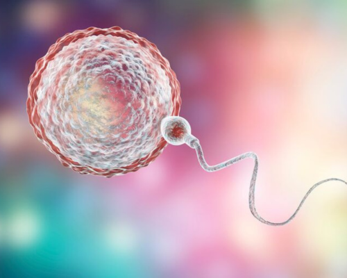 Untitled design (18)